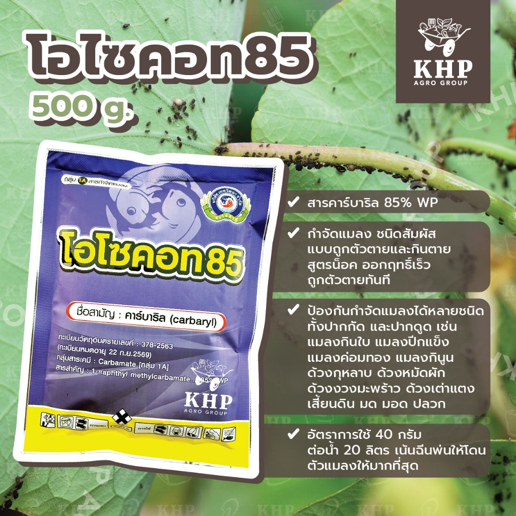 โอโซคอท 85 กำจัดปลวก มด หนอน เพลี้ย ด้วงอ้อย ด้วงหมัดผัก แมลงปีกแข็งฯ ออกฤทธิ์เร็ว ตายทันที คาร์บาริล ขนาด 100 กรัม
