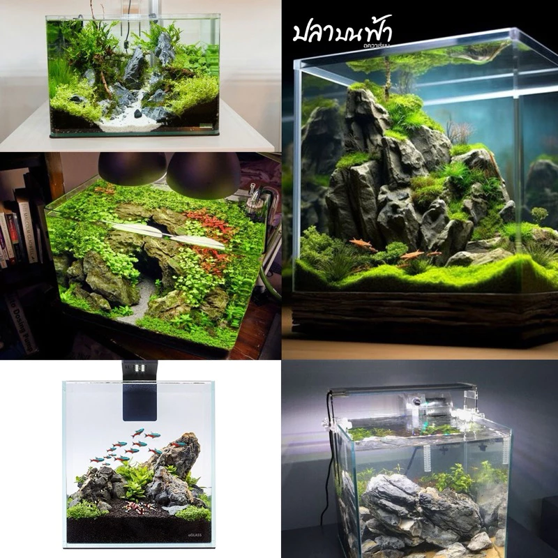 ตุ้นาโนหน้าโค้ง 9 นิ้ว, 10 นิ้ว, 12 นิ้ว 30*19*21 ซม. /30*17*20 ซม. หนา 4 มม. สำหรับเลี้ยงปลา ไม้น้ำ thumbnail 4