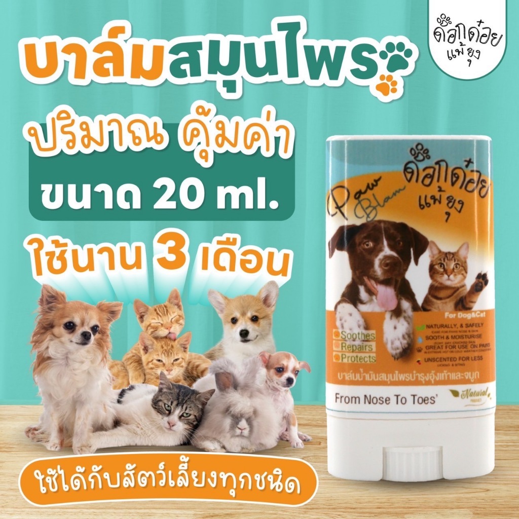 บาล์มบำรุงอุ้งเท้าสัตว์เลี้ยง แบรนด์ด็อกด๋อยแพ้ยุง | ป้องกันเชื้อแบคทีเรีย | จัดการเห็บหมัดที่ซ่อนตามซอกเท้า | ขนาด 20 g
