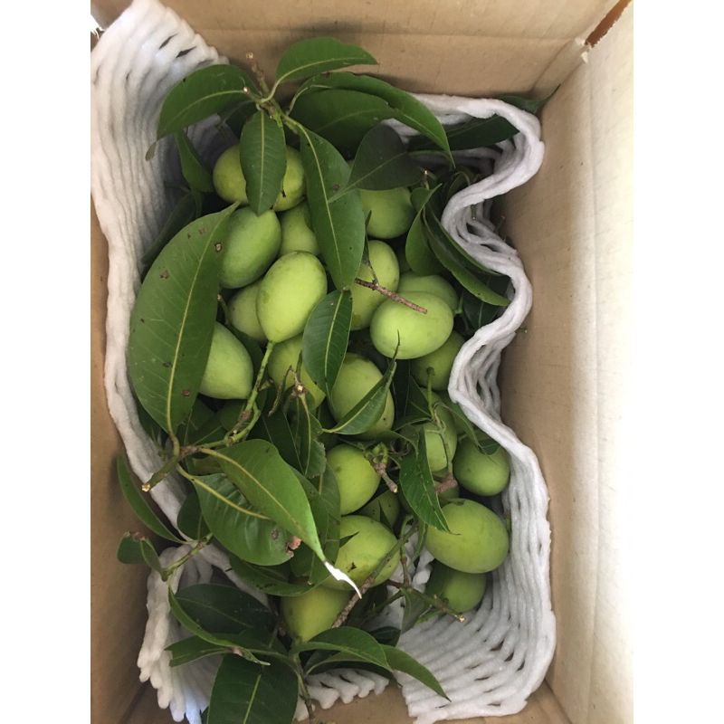 รูปภาพ 8