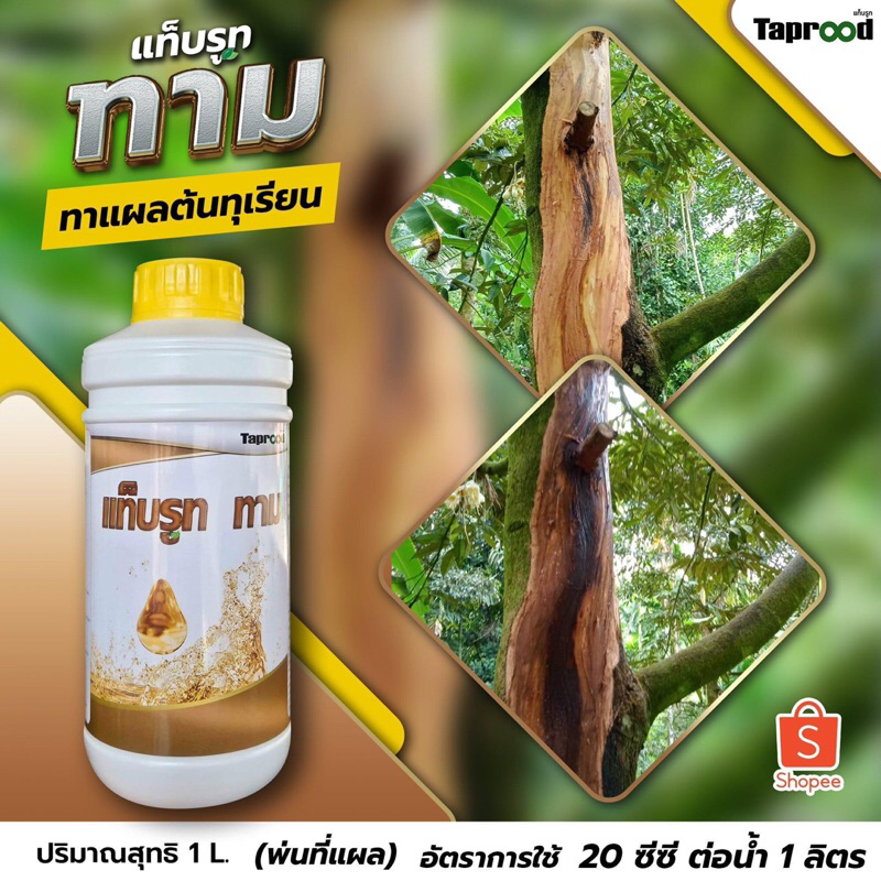 #แท็บรูท ทาม ทาแผลต้นทุเรียน