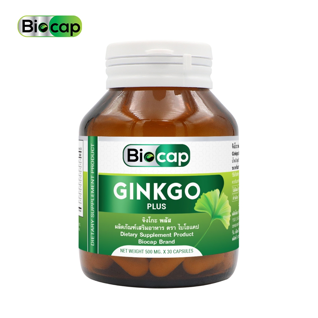 บำรุงสมอง จิงโกะพลัส จิงโกะ พลัส วิตามินบีรวม ไบโอแคป Ginkgo plus Vitamin B Complex Biocap วิตามินบี