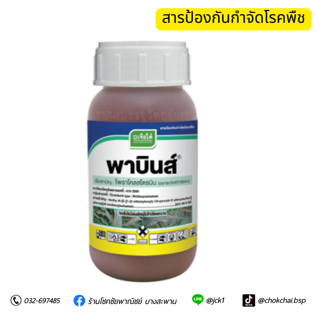 พาบินส์ สารป้องกันและกำจัดเชื้อราในผัก ขนาด 500 ซีซี