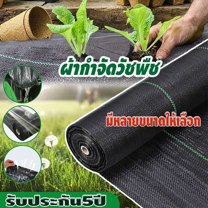 พลาสติกคลุมดิน ผ้าคลุมดิน ฆ่าหญ้า ผ้าคลุมหญ้า คลุมวัชพืช ผ้าคลุมดินกันวัชพืช กําจัดหญ้า พลาสติกคลุมดิน พลาสติกคลุมหญ้า