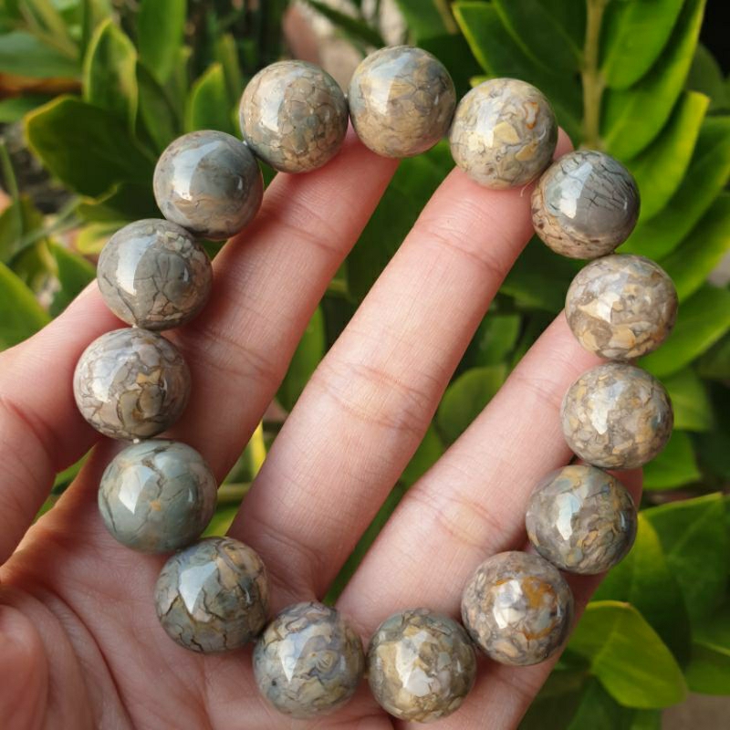 alashan agate  ราคา 2500 บาท