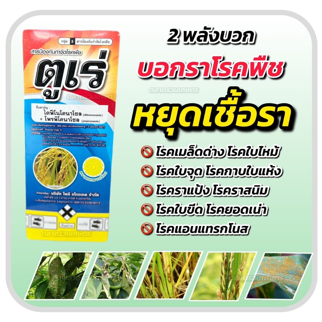 ตูเร่ ไดฟีโนโคนาโซล + โพรพิโคนาโซล ยาเชื้อรา สารกำจัดโรคพืช โรคพืช ใบจุด ใบไหม้ ราน้ำค้าง ราสนิม กาบใบไหม้ แอนแทคโนส ราคา ถูกที่สุด ดีลบีเคเค แกลเลอรีภาพที่ 2