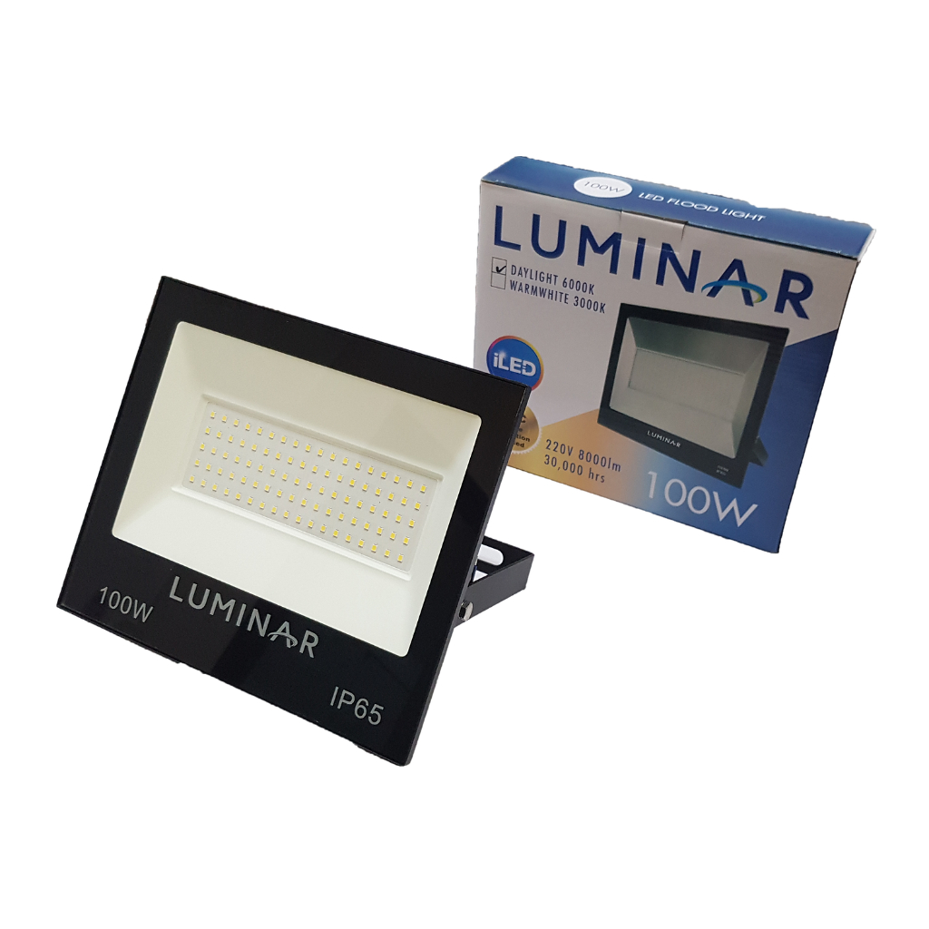 Floodlight 100W Daylight 6000K