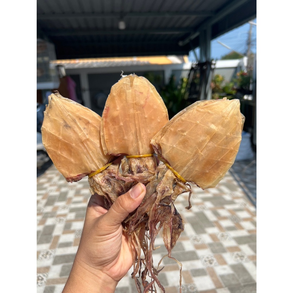ปลาหมึกแก้วไซร์เล็ก 2-3 นิ้ว ตัวสวย เนื้อบางกรอบ สด สะอาด อร่อย ไม่เค็ม ส่งตรงจากปราณบุรี