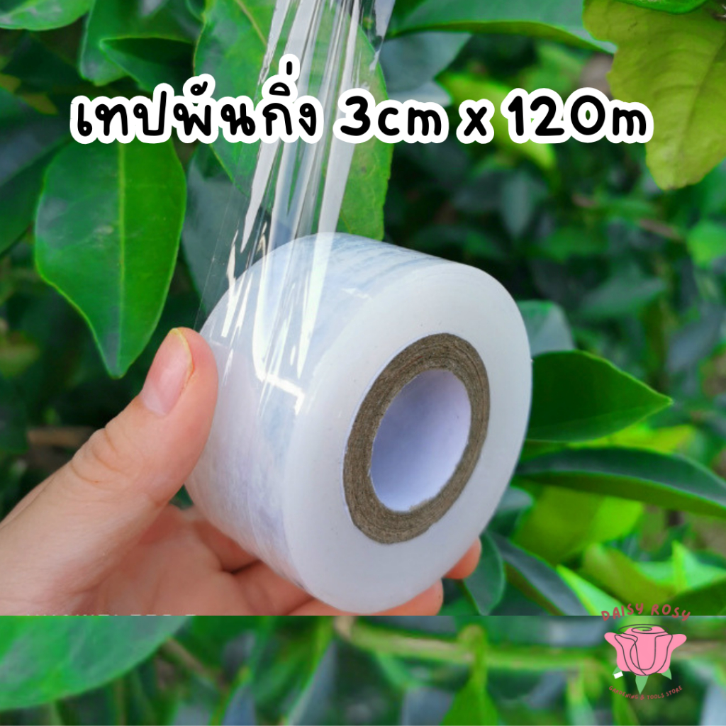 เทปพันกิ่ง ยาว120m หน้ากว้าง3cm เทปฟิล์ม เทปPE ทาบกิ่ง ต่อกิ่ง ติดตา แรปใส