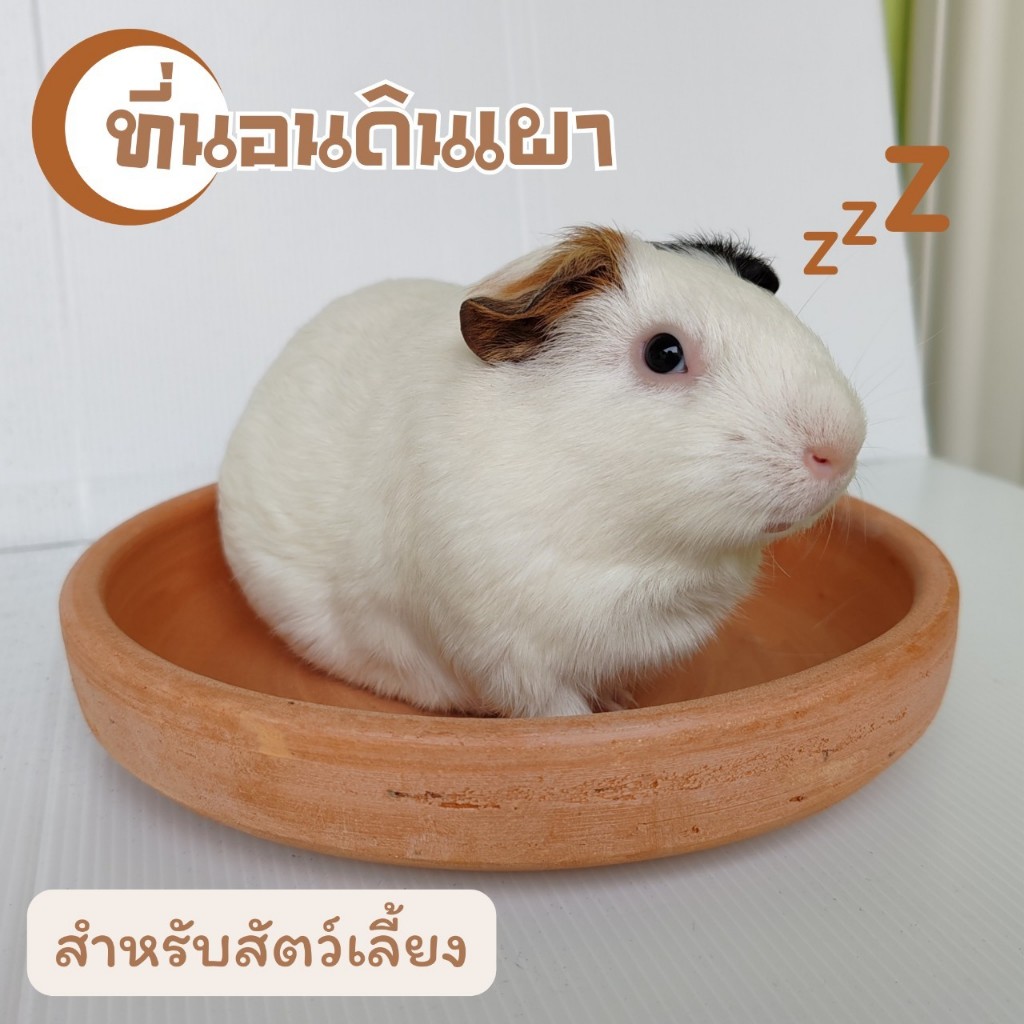 ที่นอนดินเผา ขนาด8.5นิ้ว สำหรับสัตว์เลี้ยงคลายร้อน