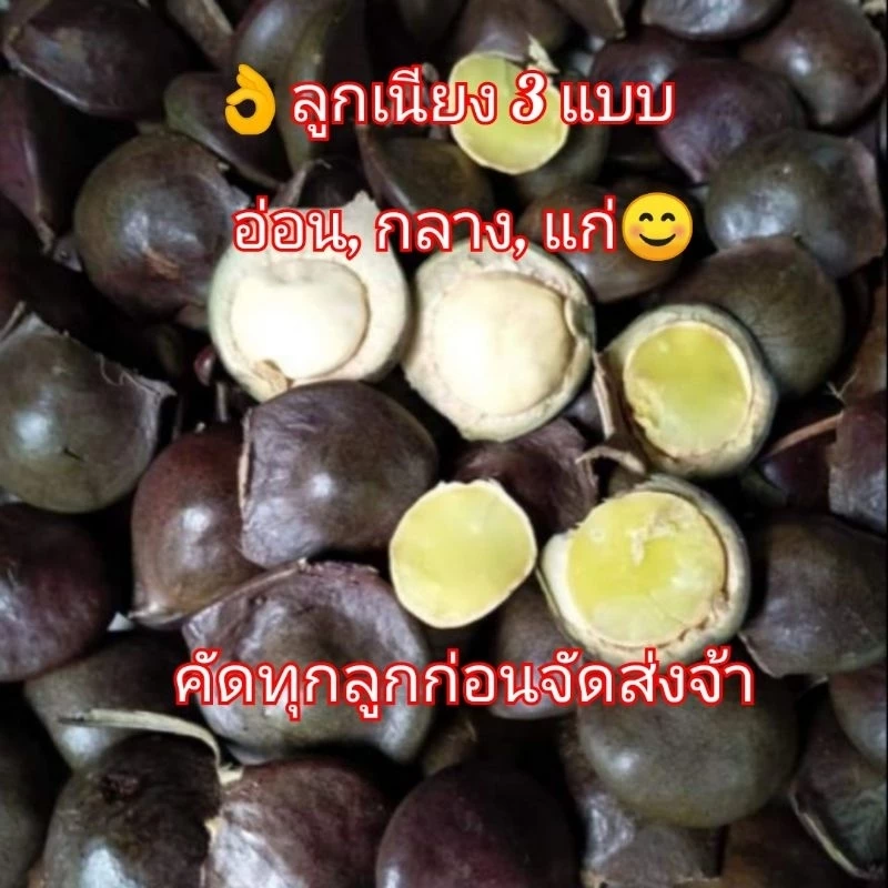 📢👌ขนาด 500 กรัมลูกเนียง 3 แบบ อร่อยๆกรอบๆ มาแล้วจ้า👌