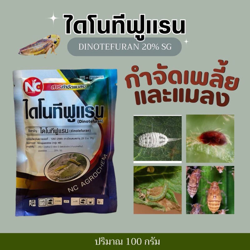 ไดโนทีฟูแรน (dinotefuran) 20% SG -100 กรัม