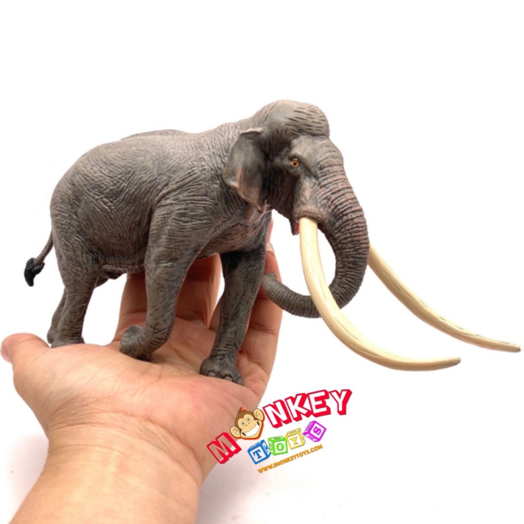 Monkey Toys โมเดลสัตว์ Elephant ช้าง เอเชีย ขนาด 23.20 CM (จากหาดใหญ่)