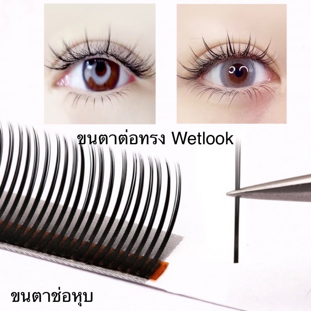 ขนตาช่อหุบ ต่อทรงWetlook Anime ขนาด0.05