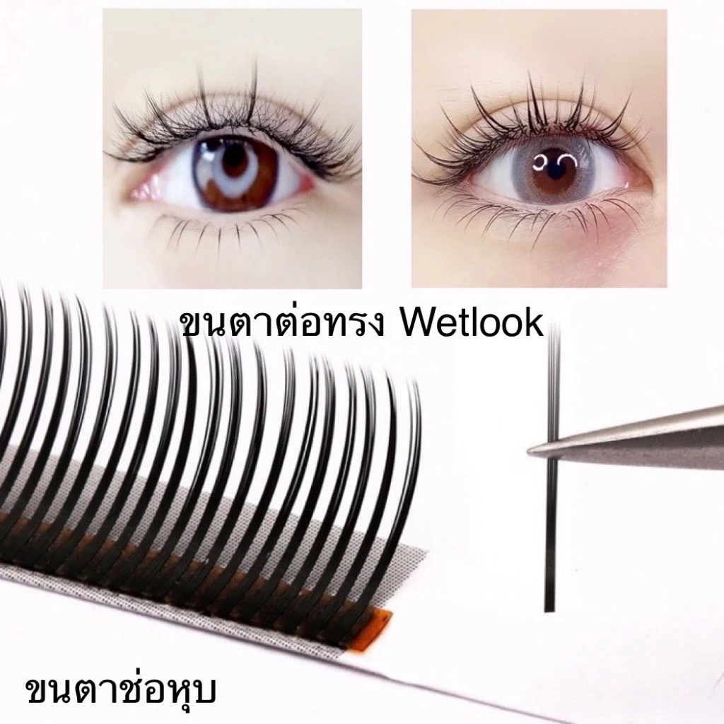ขนตาช่อหุบ ต่อทรงWetlook Anime ขนาด0.05