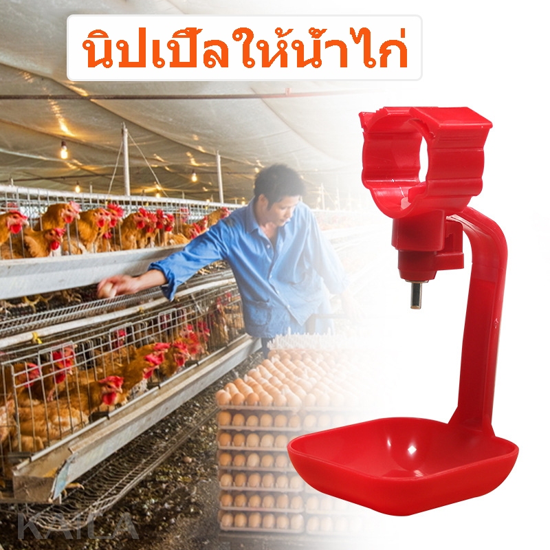 ถูก ถ้วยให้น้ำอัตโนมัติ นิปเปิ้ลให้น้ำไก่ นิปเปิ้ลอัตโนมัติ รุ่นขาตรง 6 หุน นิปเปิ้ลให้น้ำอัตโนมัติไก่ชน ไก่ไข่ นกกระทา