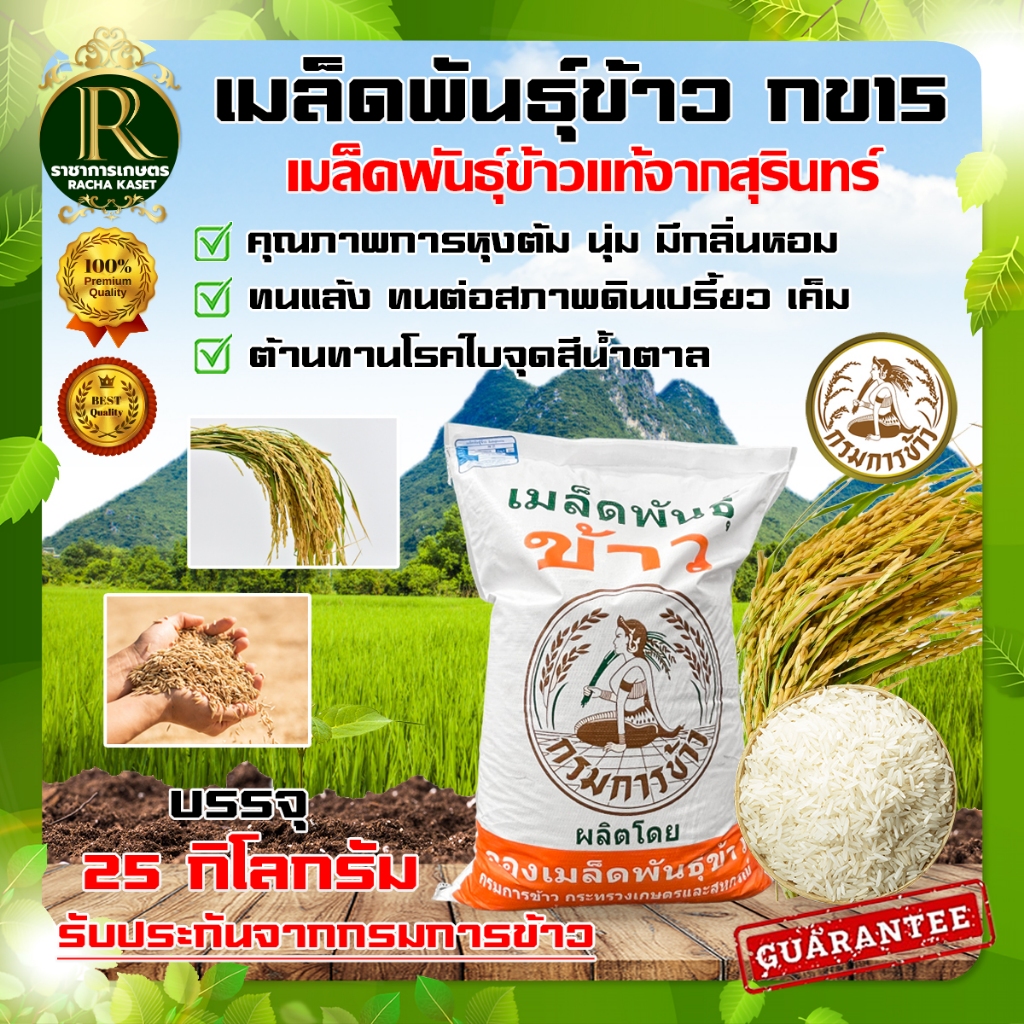 เมล็ดพันธุ์ พันธ์ุข้าว ตรากรมการข้าว พันธุ์ข้าวหอมมะลิ105,กข15 ,กข6,ข้าวปลูก กรมการข้าวบรรจุ  25Kg.