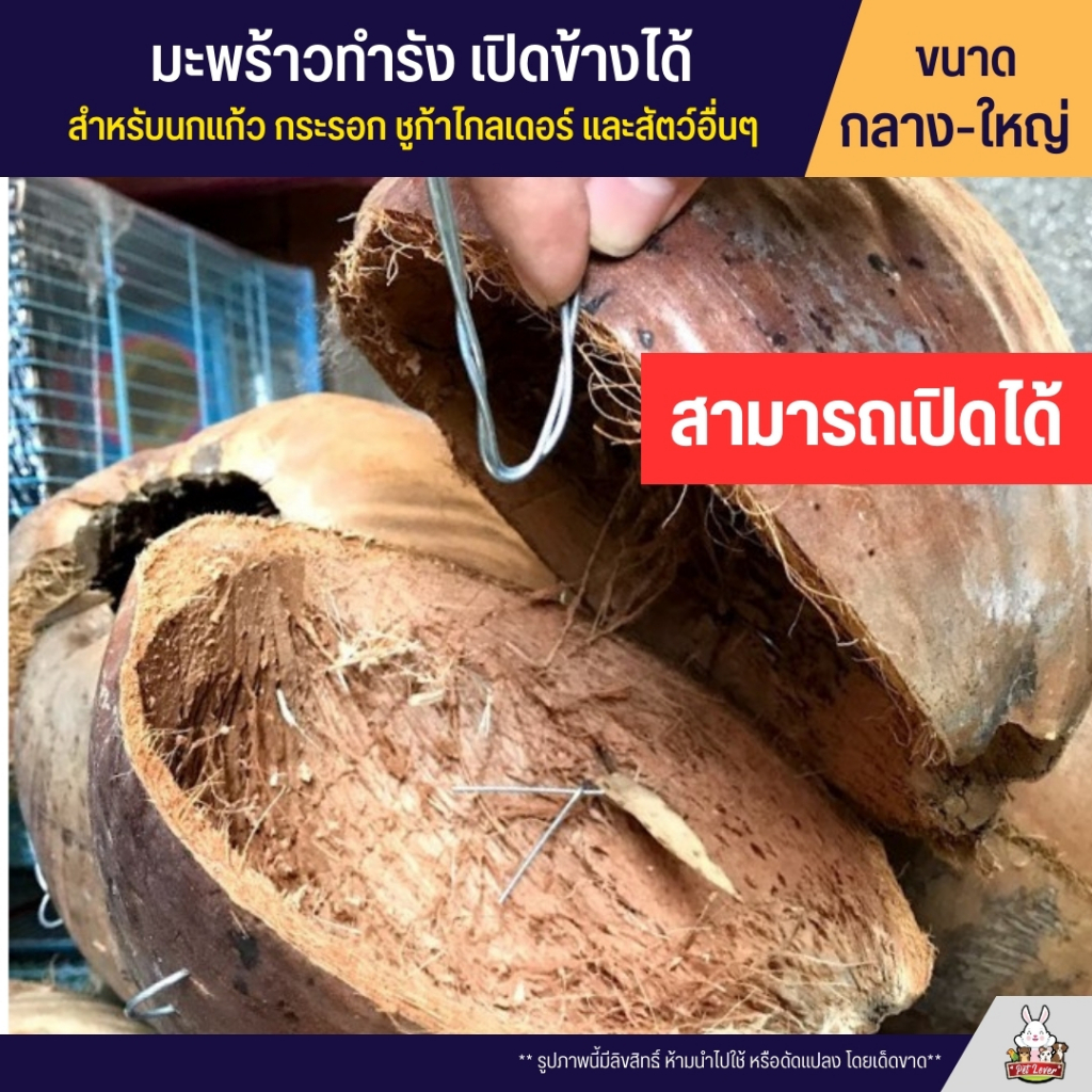 มะพร้าวทำรัง เปิดข้างได้ สำหรับ นกหงส์หยก กระรอก กระแต และสัตว์เลี้ยงอื่นๆ ไซส์กลาง-ใหญ่ - รูปที่ 2
