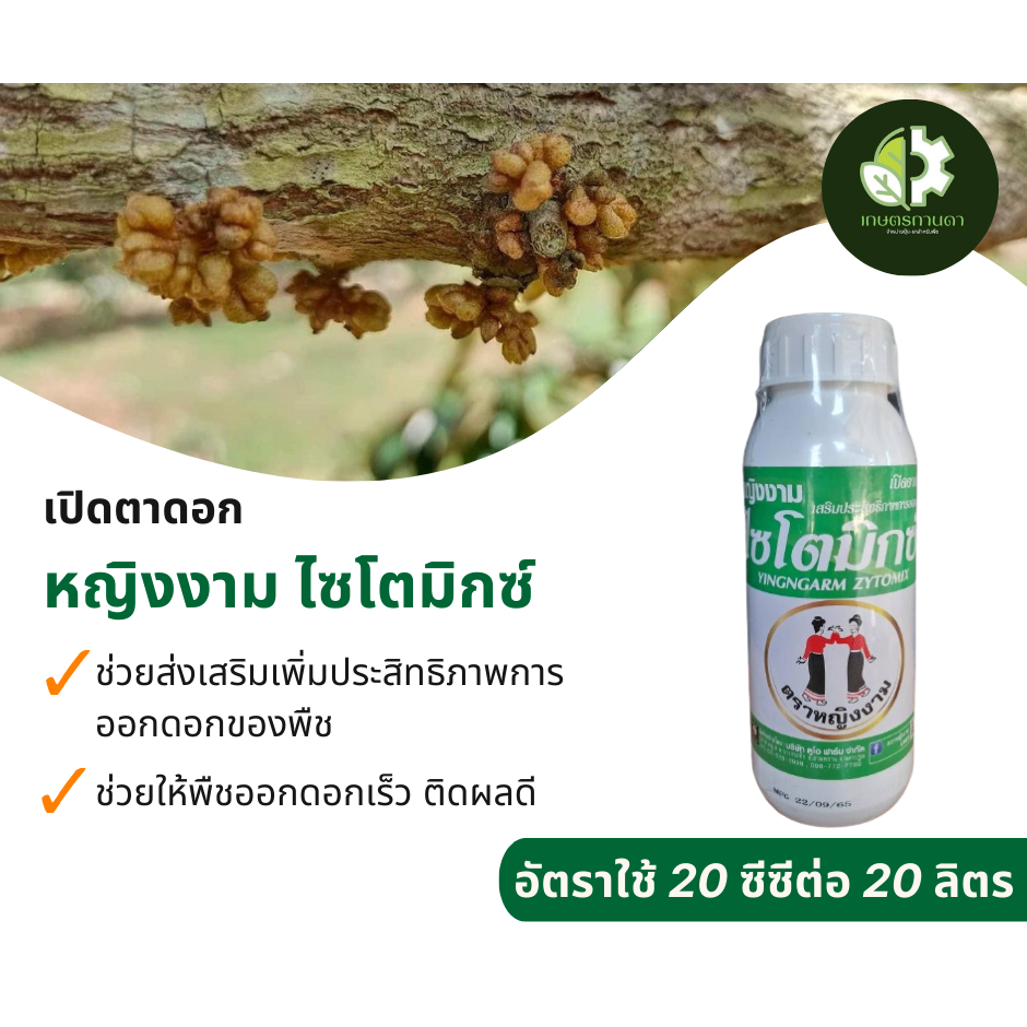 หญิงงาม ไซโตมิกซ์ (ขนาด 500 ซีซี) สารเสริมประสิทธิภาพการออกดอกของพืช เหมาะสำหรับเปิดตาดอก