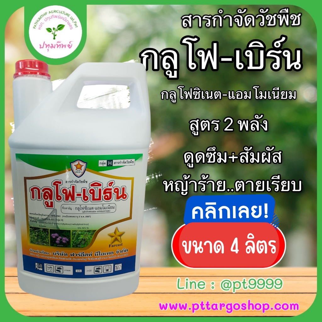 กลูโฟ-เบิร์น กลูโฟซิเนต - แอมโมเนียม 15% สารกำจัดวัชพืชใบแคบและใบกว้าง ดูดซึม+สัมมผัส ขนาด 4 ลิตร