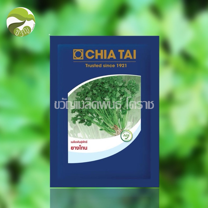 เมล็ดพันธุ์ ผักชี ยางโทน ผักชีตราเจียไต๋ ลอตใหม่ ล่าสุด