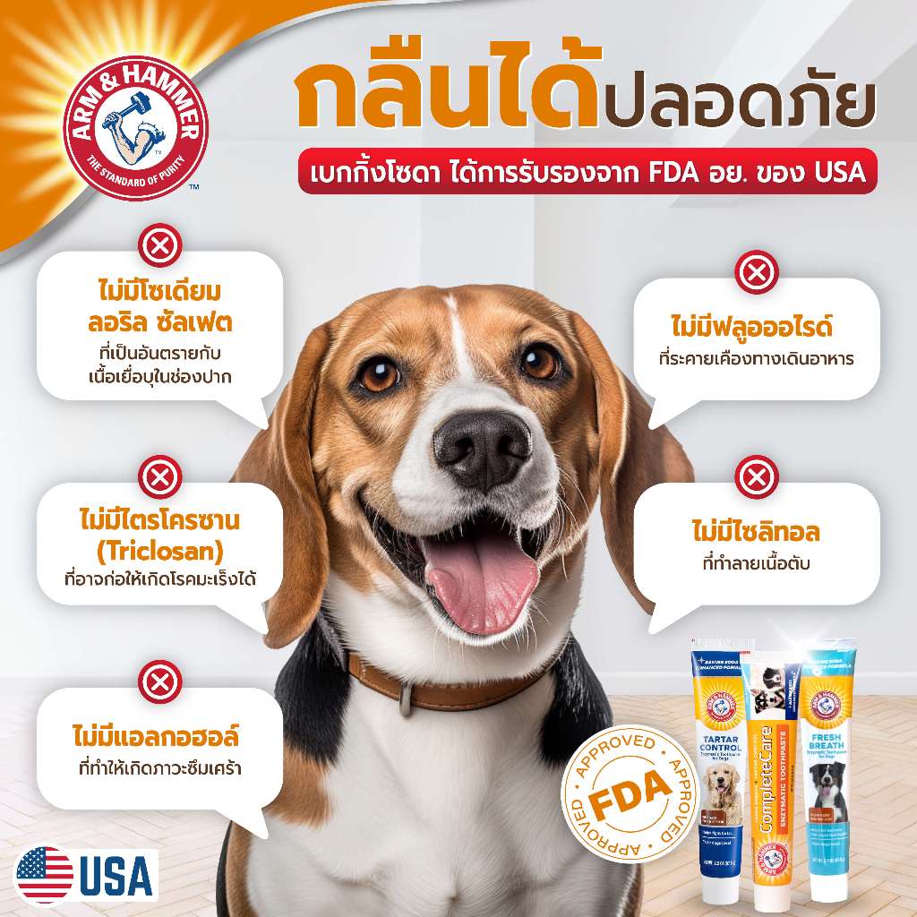 รูปภาพ 7