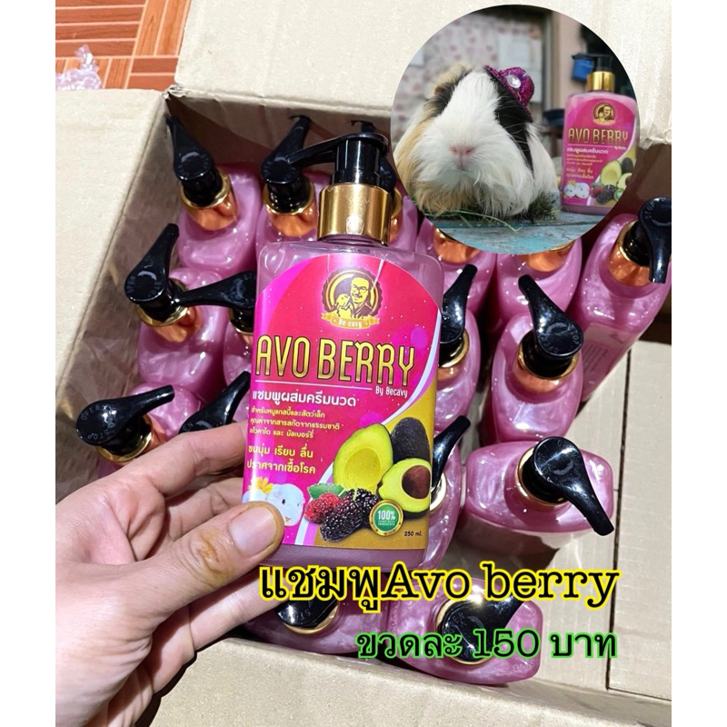 แชมพูผสมครีมนวดAvoberryสำหรับแกสบี้หนูตะเภาหนูขวัญสัตว์ขนาดเล็ก