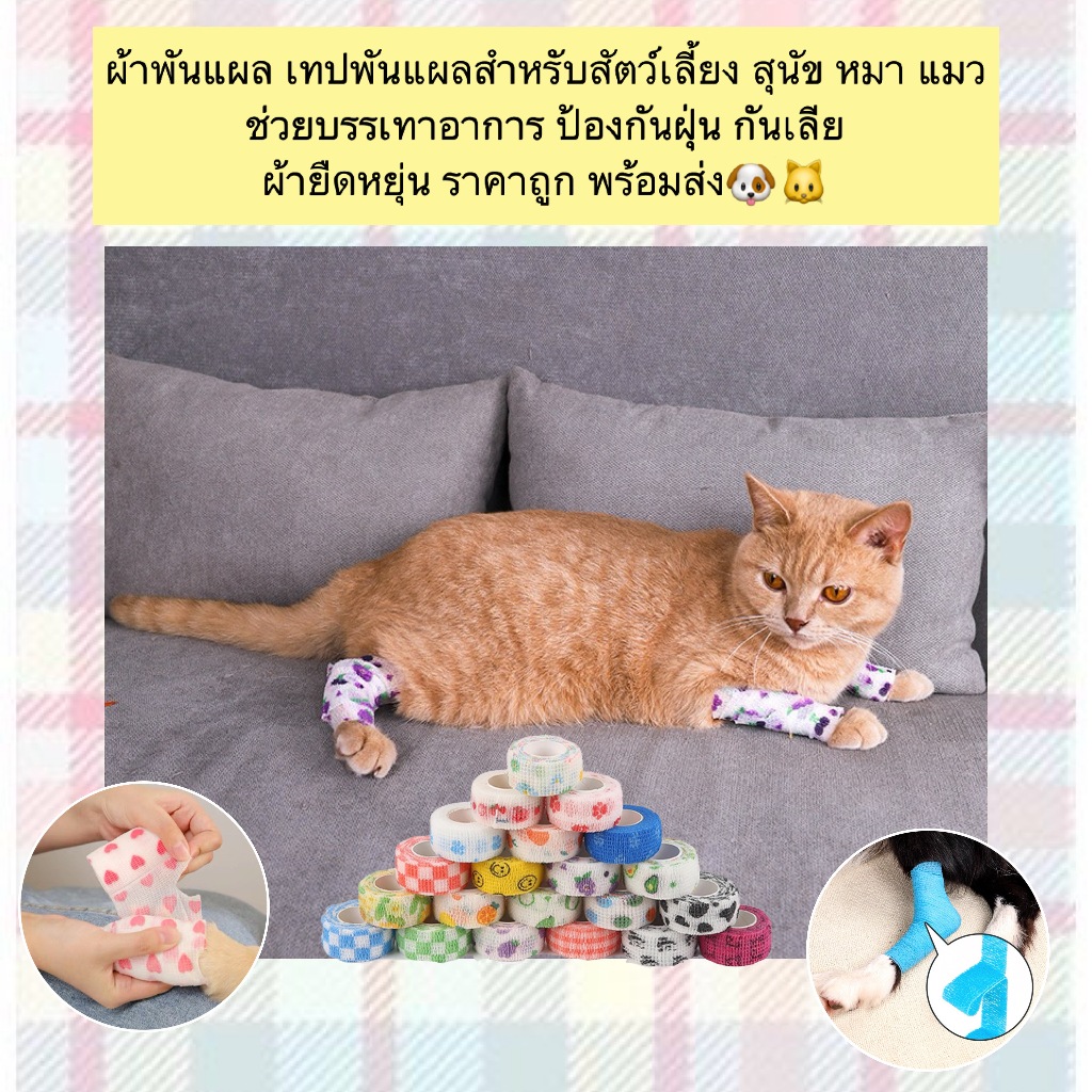 BN-880 🐶🐱 ผ้าพันแผล / เทปพันแผลสัตว์เลี้ยง ยืดหยุ่นดี ป้องกันฝุ่น กันเลียแผล ระบายอากาศได้ ราคาประหยัด พร้อมส่ง 💖