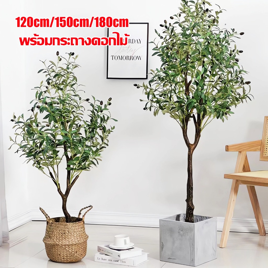 ส่งจากกทม.24ชม.ต้นโอลีฟ ต้นมะกอกปลอม ลำต้นสีน้ำตาลเหมือนของจริง การตกแต่งภายในห้อง/หน้าร้าน ต้นไม้ปลอมขนาดใหญ่