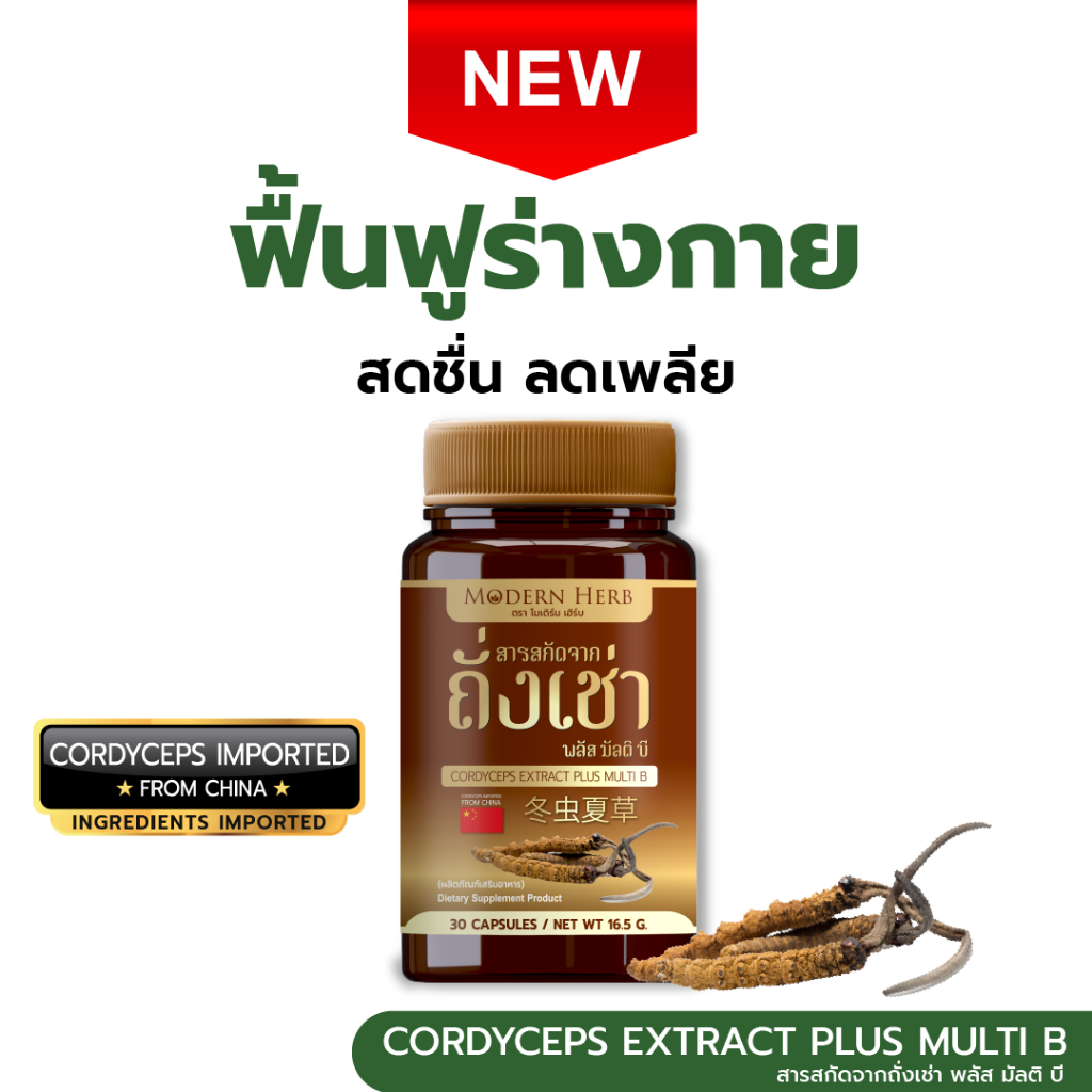 Cordyceps Extract Plus Multi B ถั่งเช่า พลัส มัลติ บี ช่วยฟื้นฟูร่างกาย สดชื่น ลดเพลีย