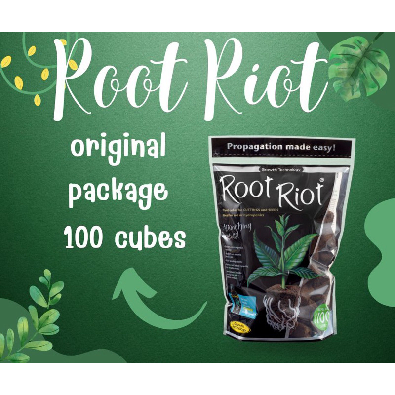 Root Riot ของแท้ 100% สำหรับปักชำและเพาะเมล็ด ขนาด 24/100 cubes