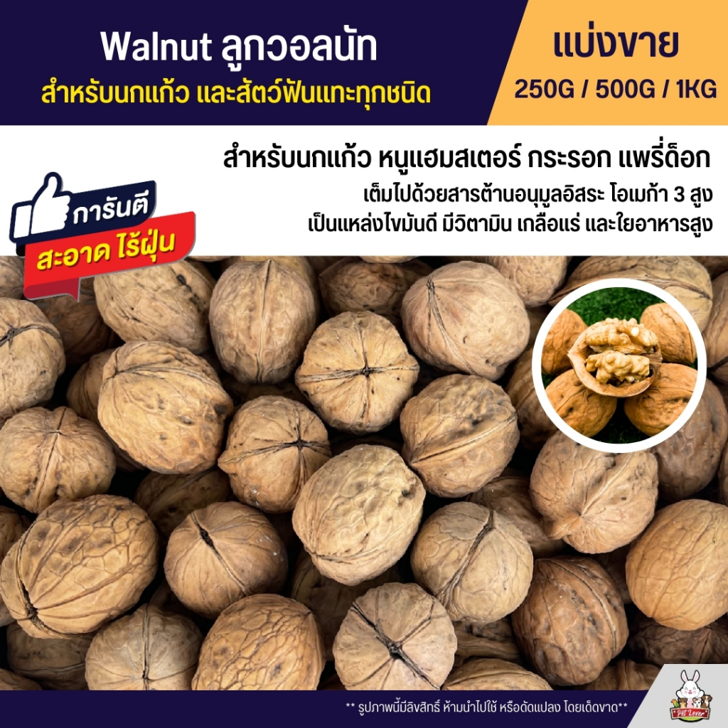 วอลนัท Walnut สำหรับนกแก้ว หนูแฮมสเตอร์ กระรอก แพรี่ด็อก และสัตว์ฟันแทะ (แบ่งขาย 250G / 500G / 1KG)