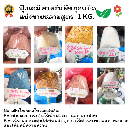 ปุ๋ยเคมี แบ่งขาย 1kg. 46-0-0ยูเรีย/16-16-16/8-24-24/13-13-21/15-0-0/18-12-6/21-0-0