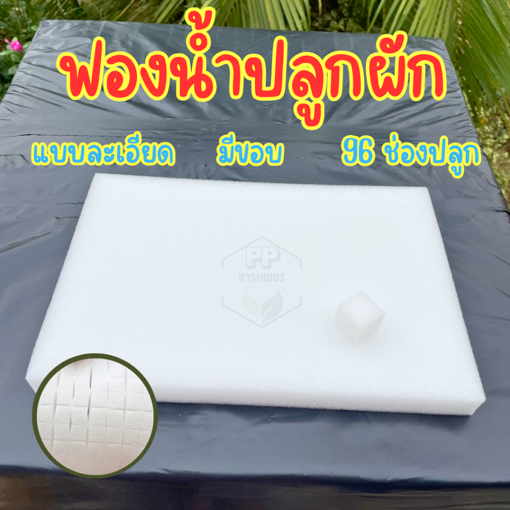 ฟองน้ำเพาะต้นกล้า ฟองน้ำปลูกผัก ปลูกผักไฮโดรโปนิกส์ *แบบละเอียด* มีขอบ 96 ช่อง