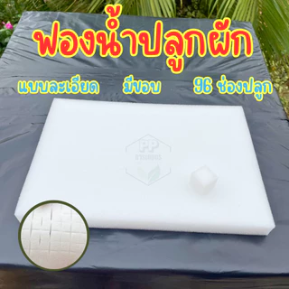 ฟองน้ำเพาะต้นกล้า ฟองน้ำปลูกผัก ปลูกผักไฮโดรโปนิกส์ *แบบละเอียด* มีขอบ 96 ช่อง