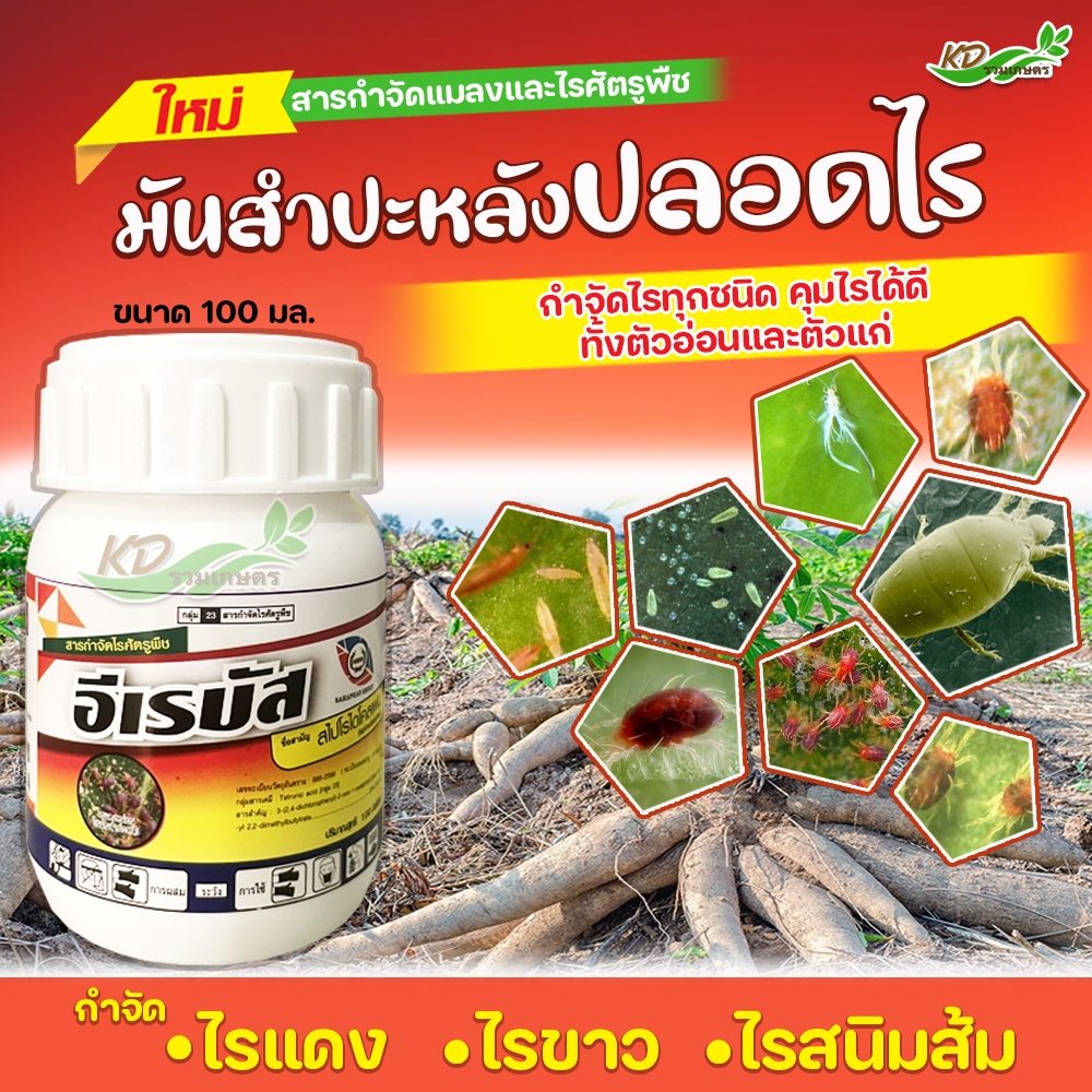 สารกำจัดไรศัตรูพืช อีเรบัส (สไปโรไดโคลเฟน) ขนาด 100 มล. กำจัดไรแดง ไรขาว ไรแมลงมุม