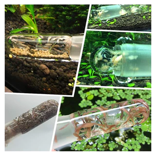 หลอดแก้วดักพลานาเรีย กับดักพลานาเรีย Planaria Trap สำหรับตู้กุ้ง ตู้ปลา ตู้ไม้น้ำ สำหรับกำจัดพลานาเรียในตู้ปลา