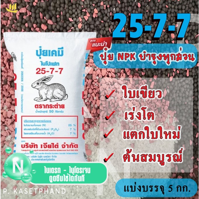 25-7-7 ตรา กระต่าย (เม็ดฟ้า) แบ่งบรรจุ 5 Kg. ปุ๋ย NPK ธาตุอาหารครบ ไนเตรท-ไนโตรเจนสูง ใบเขียว ต้นโตไว แข็งแรงสมบูรณ์