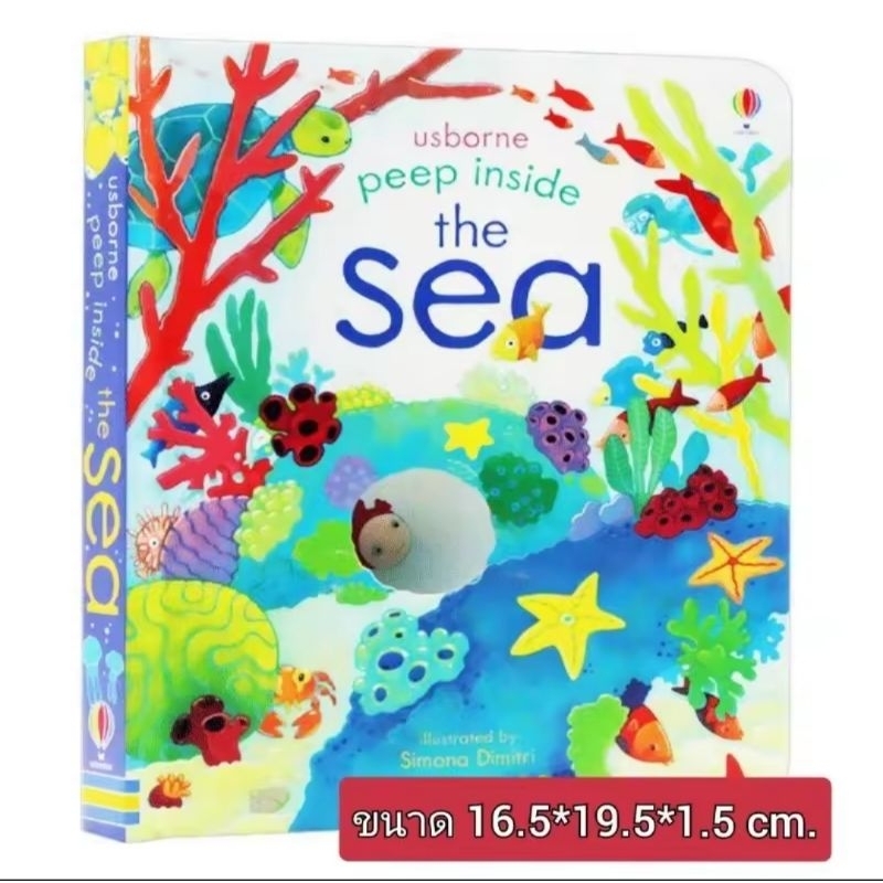 รูปภาพ 4