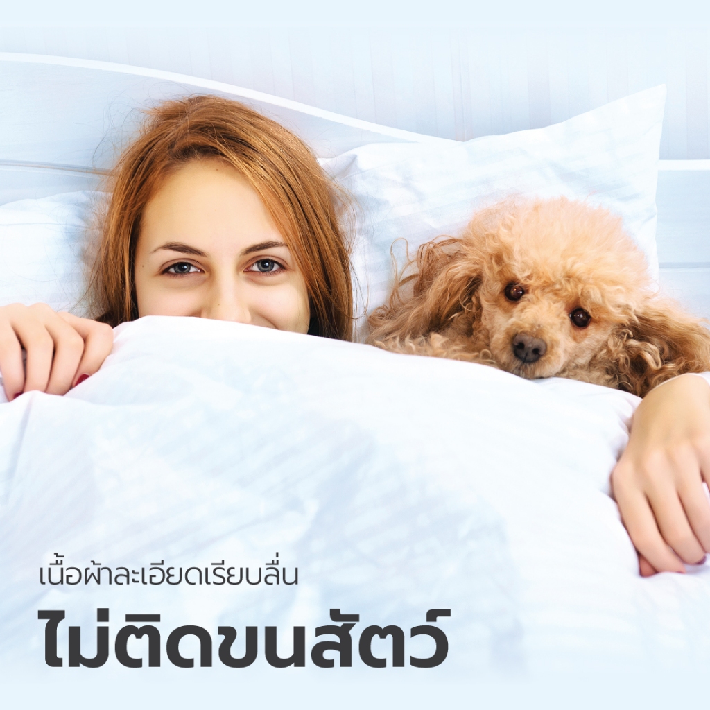 LUCKY mattress ปลอกหมอนหนุน MicroTouch ผ้าหุ้มกันไรฝุ่น