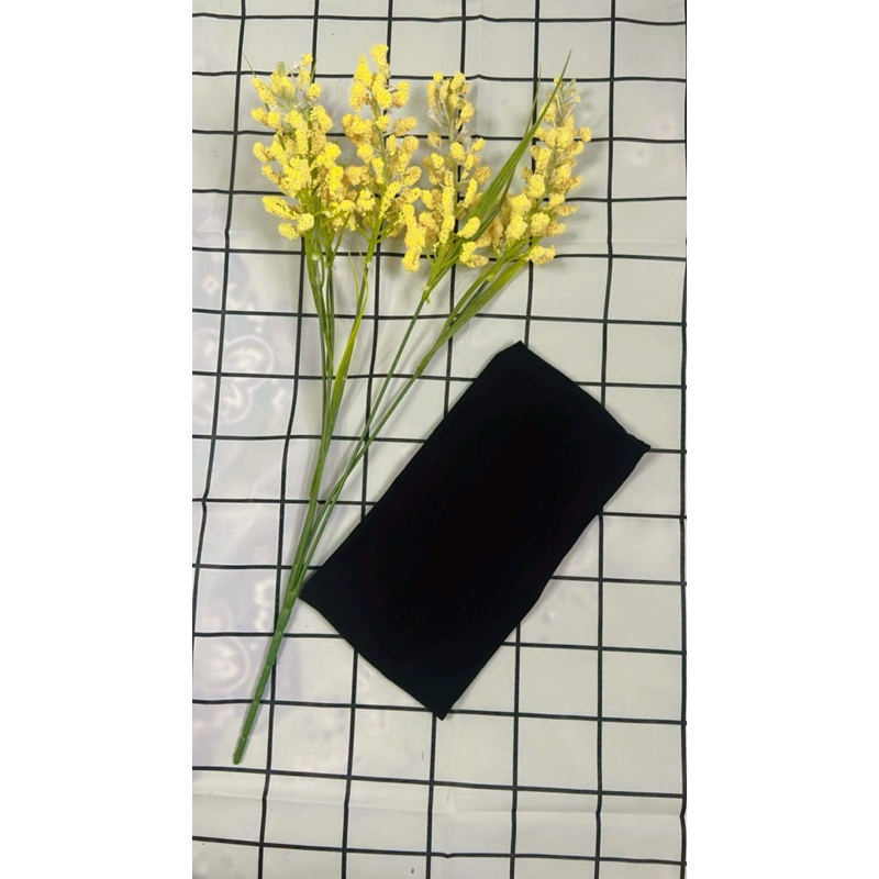 รูปภาพ 4