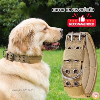ใหม่ ปลอกคอสุนัข ปลอกคอสุนัขใหญ่ ปลอกคอสุนัขยุทธวิธีสีสันสดใส แข็งแรงกว่าเดิม C042