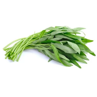 เมล็ดพันธุ์ผักบุ้งจีน 20 กรัม ห่อใหญ่งอกดีมาก(5แถม1คละได้)