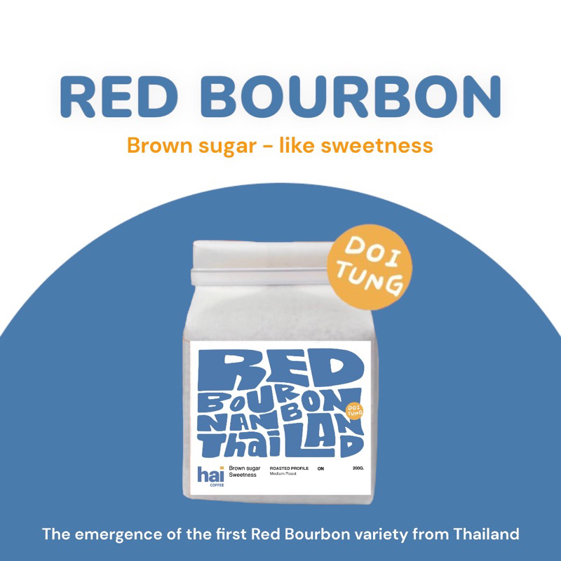 Hai single origin Doitung Mixed lot (Red Bourbon), Nan, Thailand เมล็ดกาแฟคั่วกลาง