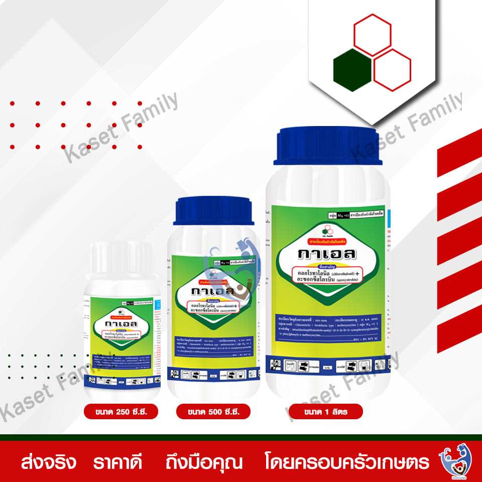 กาเอล (KAEIL) ขนาด 250 ซี.ซี. / 500 ซี.ซี. /1 ลิตร | ตราไฮพลัส | สารป้องกันและกำจัดโรคพืช โรคราน้ำค้าง ใบเน่า ใบจุด