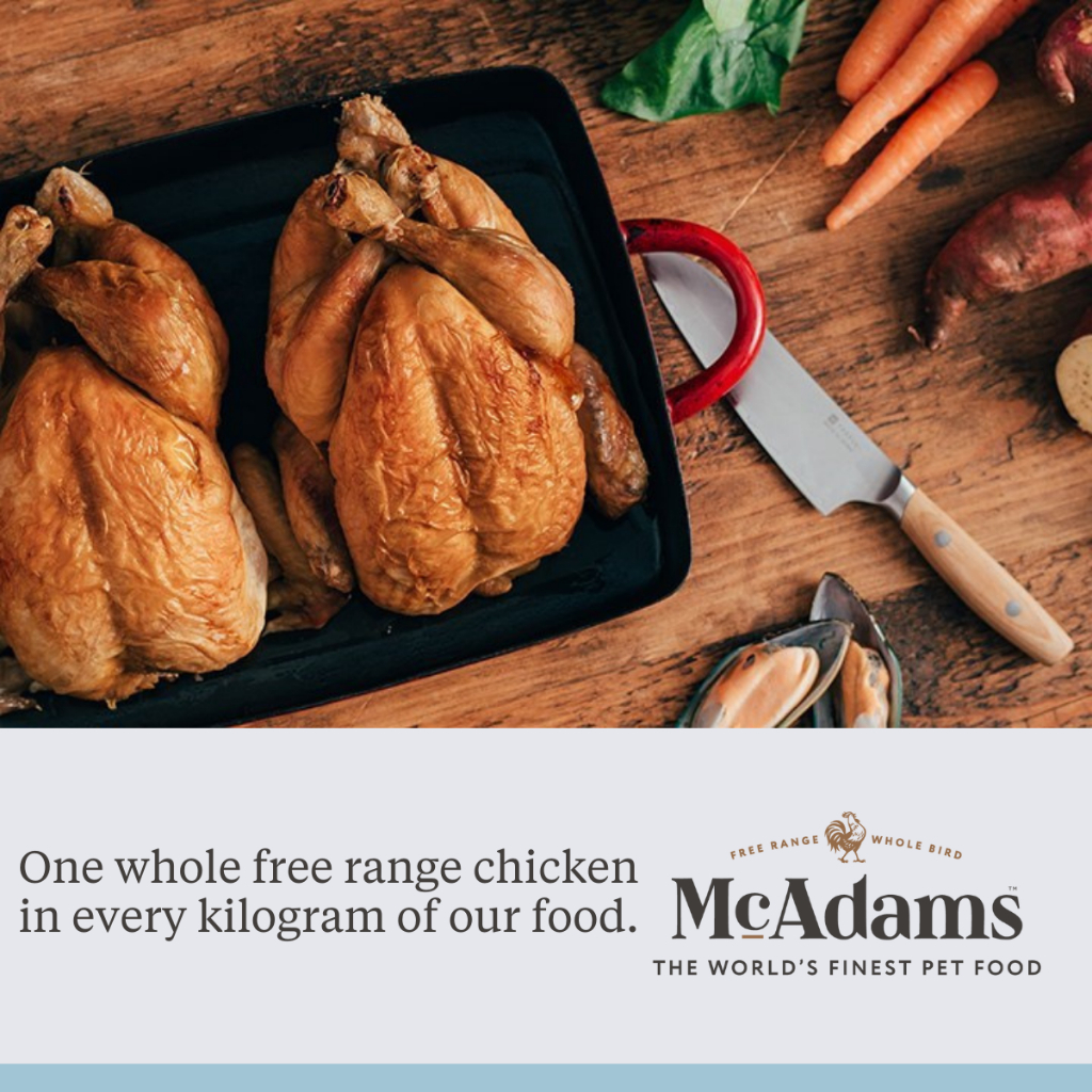 McAdams Senior/Light Free Range Chicken แมคอดัมส์ อาหารสุนัขสูงวัย/ลดน้ำหนัก สูตรไก่ฟรีเรนจ์ ไขมันต่ำ บำรุงข้อต่อ - รูปที่ 2