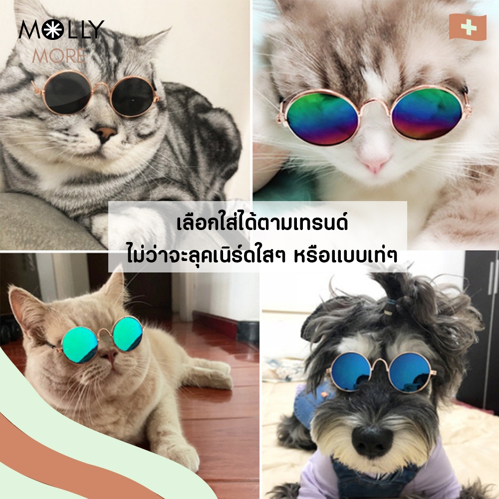 MOLLY   แว่นตาสัตว์เลี้ยง Vintage Collection แว่นแมว หมา แว่นกันแดด สําหรับสัตว์เลี้ยง - รูปที่ 2