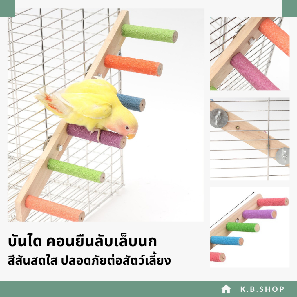 บันได คอนยืนลับเล็บนก  อุปกรณ์นกของเล่น