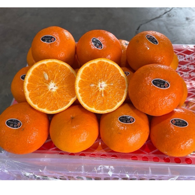 รูปภาพ 3