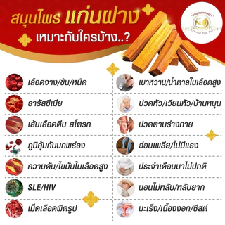 💗พร้อมส่ง💗*ของแท้* แก่นนางพญา ✅ชาสมุนไพรบำรุงเลือด ขับประจำเดือน เสริมภูมิ วัยทอง ประจำเดือนมาไม่ปกติ โลหิตจาง